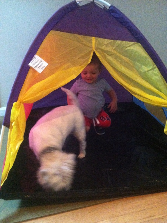 [2012.07.27%2520Tent%2520Fun%2520%25282%2529%255B7%255D.jpg]