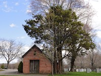 DSC02940.JPG