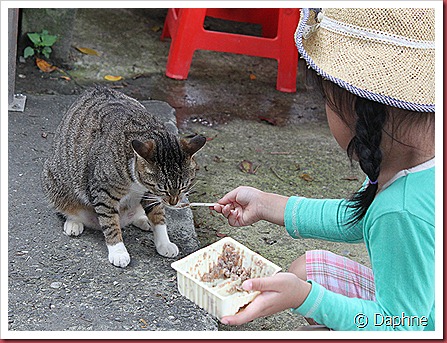 IMG_6166 IMG_6166