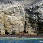 The sea-lion beach resort.  Hundreds of them!