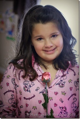 IMG_7284 IMG_7284