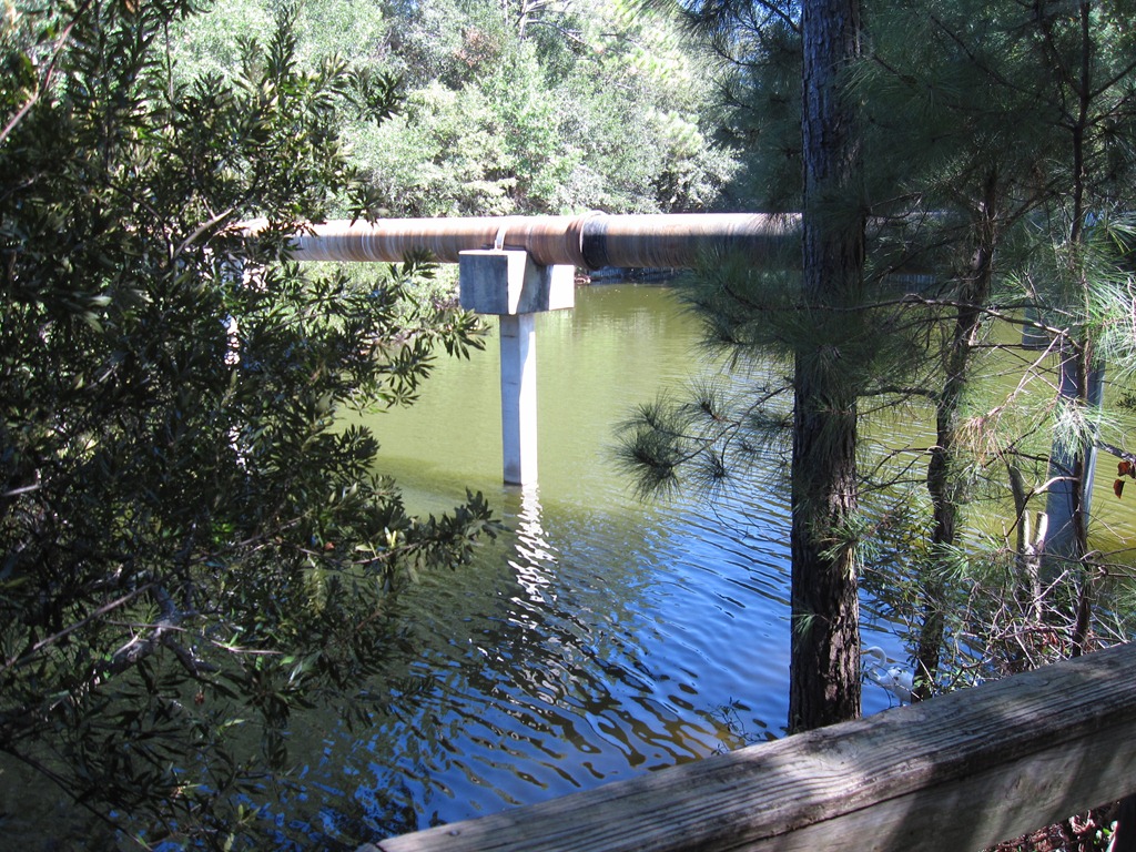 [HHI_100211_UnderpassCreekView%255B3%255D.jpg]