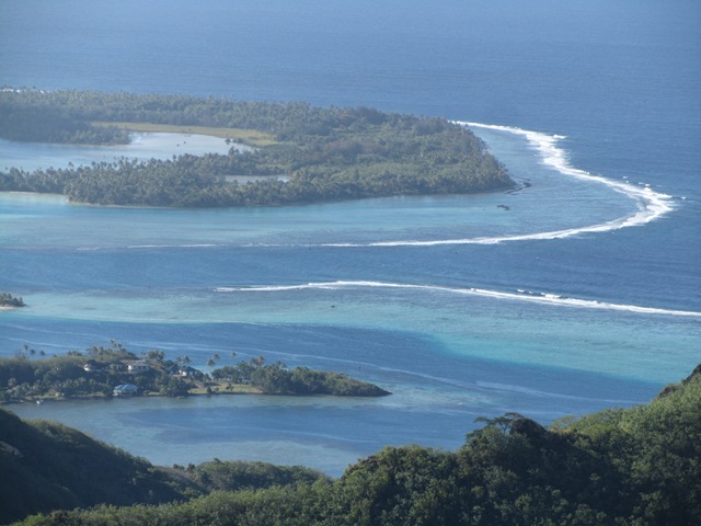 [rehuahine0193.jpg]