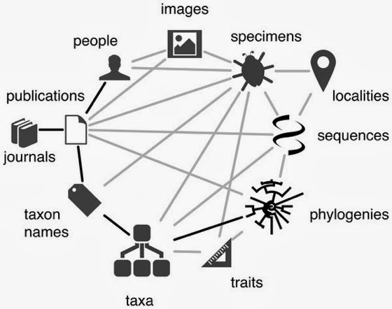 fig-1-1x.jpg Fig 1 1x