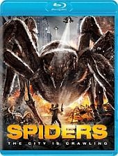 spiders spiders