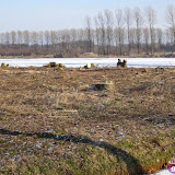 P1020563.jpg