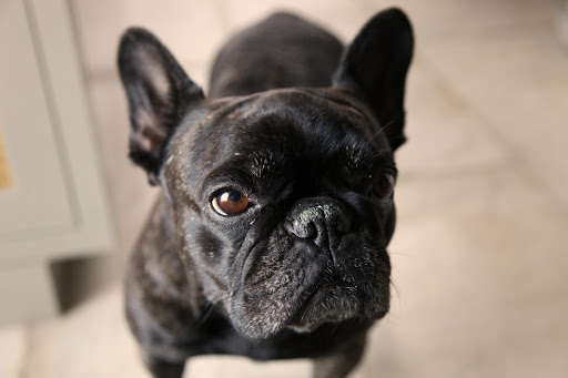 Oh I did, and now I have pollen all over my nose!  Achoo!