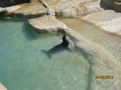 IMG_3326 IMG_3326