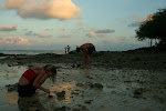 Ko Samet Island, Thailand 264.JPG
