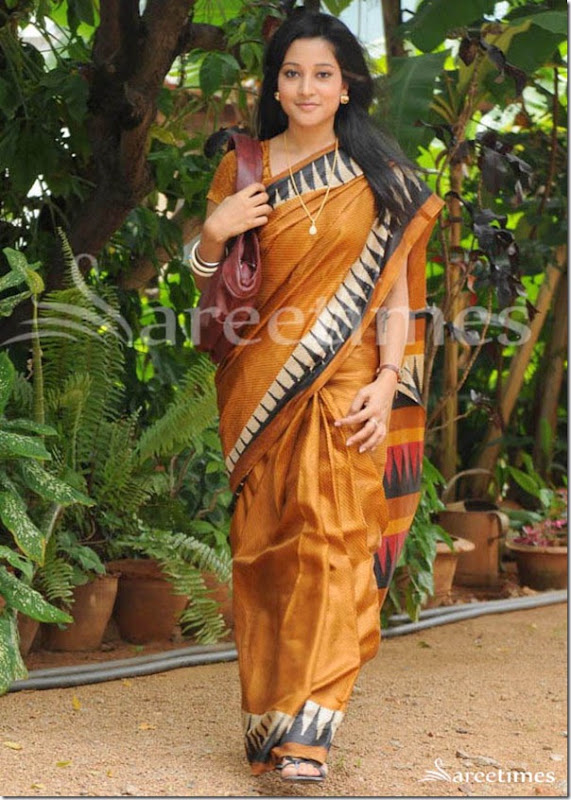 Ritu_Barmecha_Silk_Saree