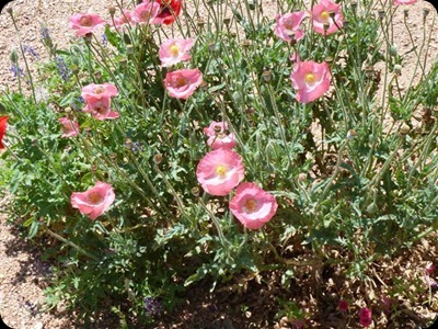 P1010408
