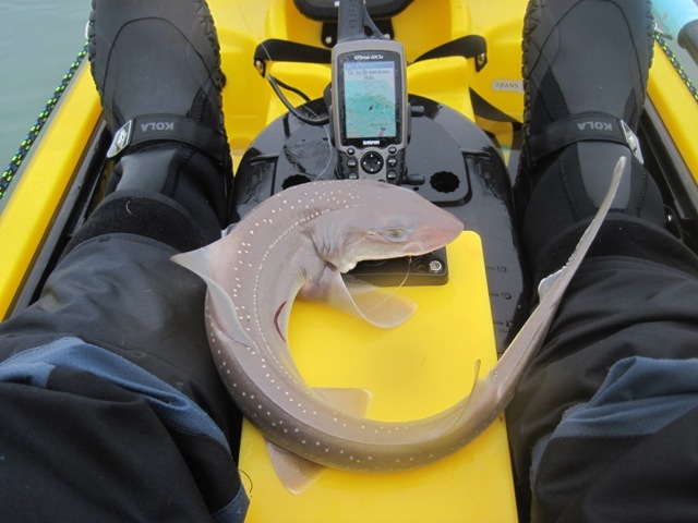 [IMG_0584%255B4%255D.jpg]