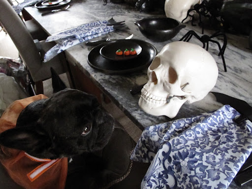 Things DID look kind terrifying in the brown room.  Sharkey, this skull is REALLY kind of scary looking.