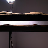 Landscape Installation - 3%252520oclock%2525204%252520oclock%252520008.jpg
