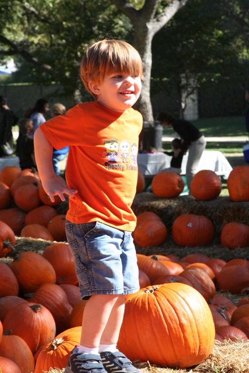 [IMG_0644%255B4%255D.jpg]