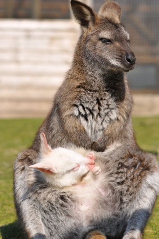 [Washing%2520face%2520whilst%2520in%2520pouch%2520DSC_0361%255B11%255D.jpg]