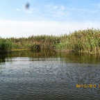 IMG_8029.JPG