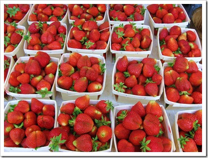 strawberries rhinebeck farmers market