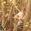 DSCN0234.JPG