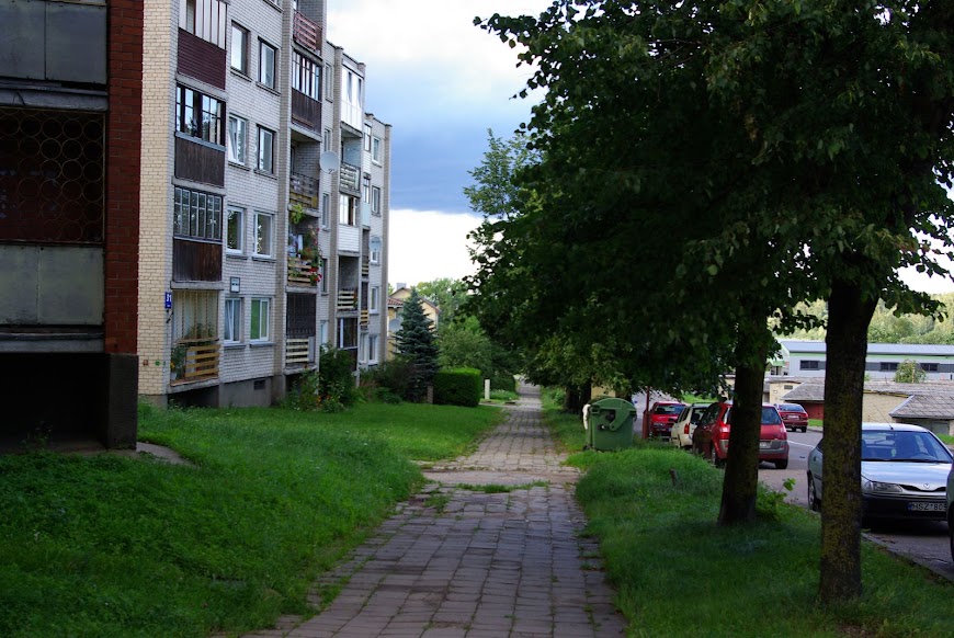 IMGP8782.JPG