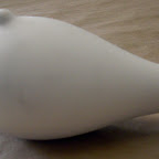 CIMG1385.JPG