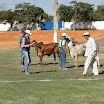 superleite2011_dia1507_106.JPG