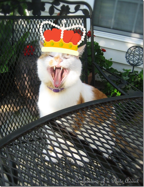 bkcrown bkcrown