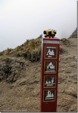 Yes, we hiked the Inca Trail with Mr. Bee. He's light! Yes, we hiked the Inca Trail with Mr. Bee. He's light!