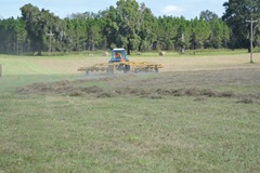 hay2 012