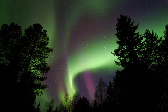 Glass-Igloo-Northern-Lights