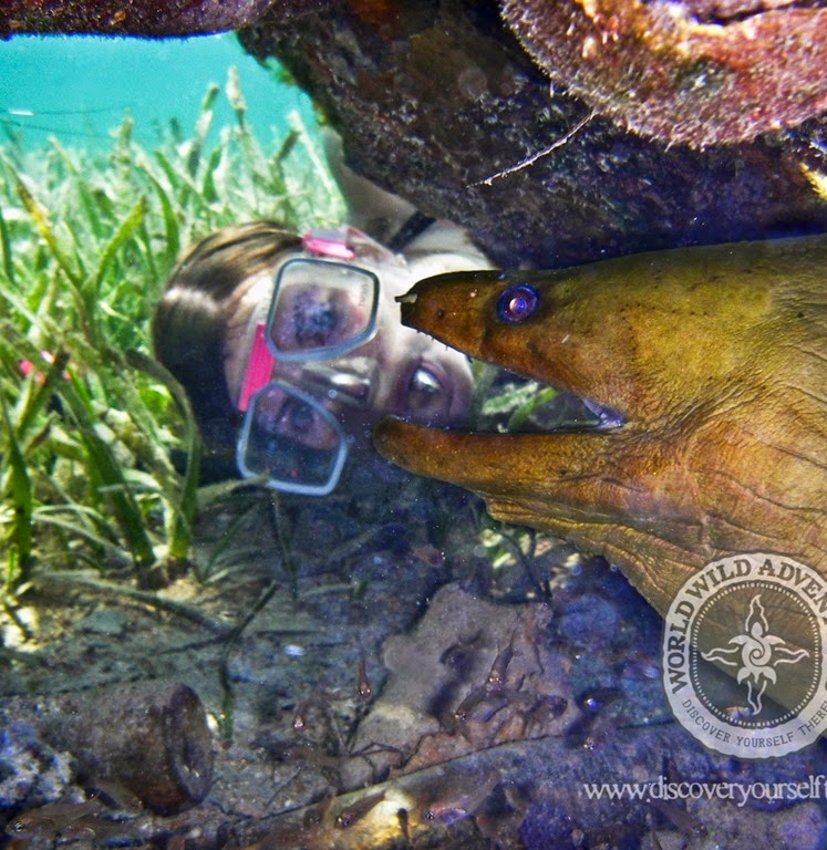 [%2528c%2529Worldwildadventures-0135%255B5%255D.jpg]