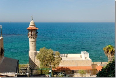 Joppa ocean view with minaret, tb101806997
