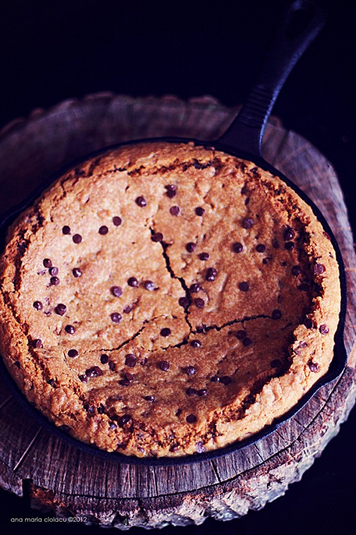 [Skillet%2520Cookie%252011%255B13%255D.jpg]