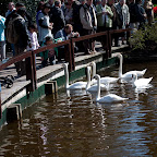 DSC_0635.jpg