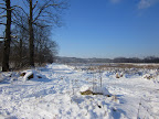 IMG_3515.JPG