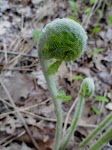 DSC03182_new.jpg