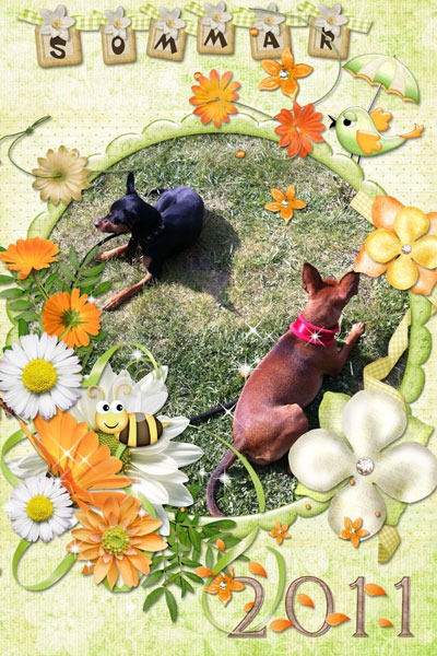 [Sommar2011_web2.jpg]