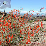 Bandelier Natl Monument- Santa Fé, AZ