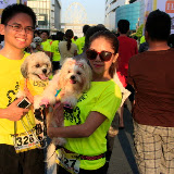 Pet Express Doggie Run 2012 Philippines. Jpg (115).JPG