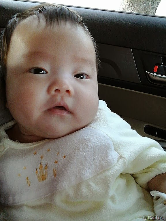 [2013-11-09%252013.55.24%255B5%255D.jpg]