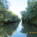 IMG_6164.JPG