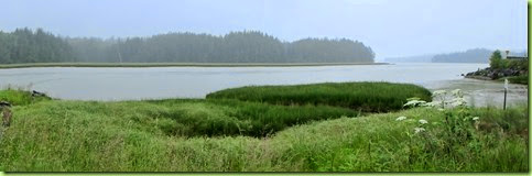 Drive Into WA-004 Drive Into WA-004