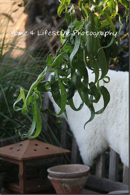 Home & Lifestyle Home & Lifestyle