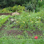DSCN0508 (Small).jpg