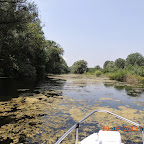 DSCN8351.JPG
