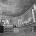 R0029796.JPG