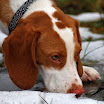 DSC_0037.jpg