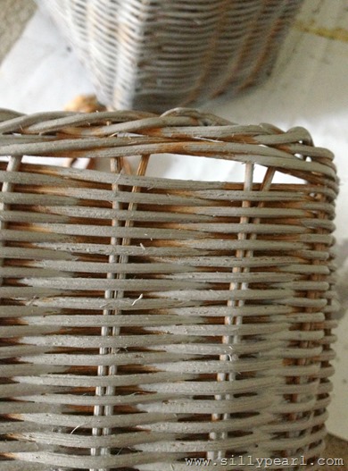 Hanging Basket Makeover5 Hanging Basket Makeover5