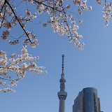 201247