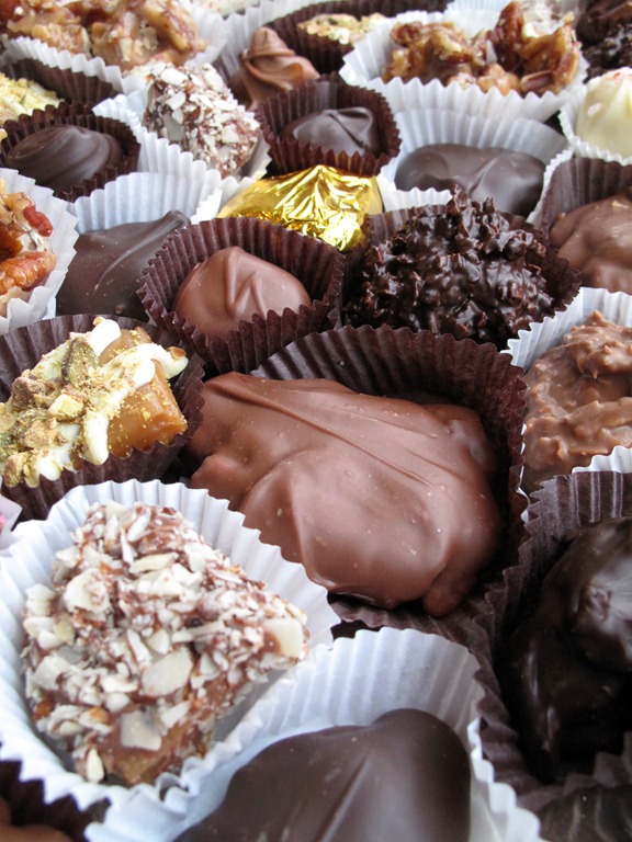 [turtlechocolate%255B4%255D.jpg]